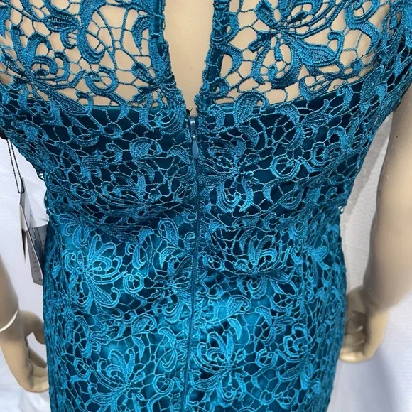 Adrianna Papell Lace Cap Sleeve Dress - Picture 10 of 13